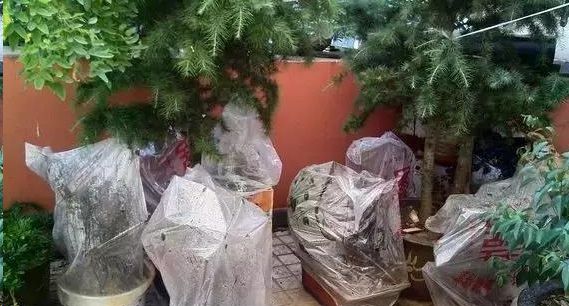 【xingkong.com】竞彩20日推荐：拜仁客场有望大胜而归